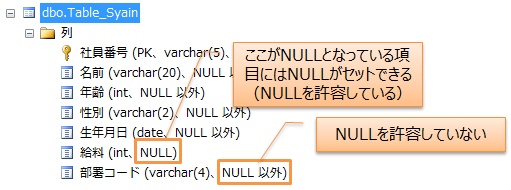 NULLを許容する項目